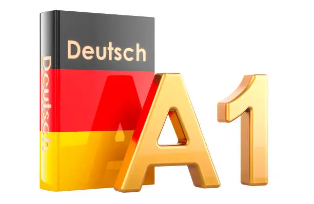 German Grammar Basics Every A1 Learner Should Know